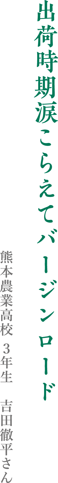 出荷時期涙こらえてバージンロード