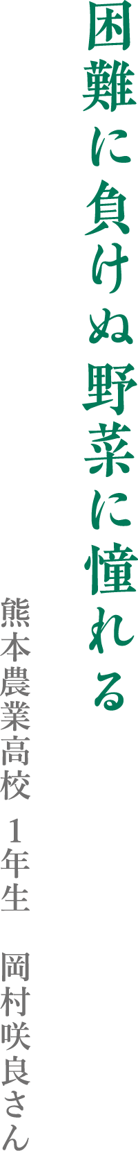 困難に負けぬ野菜に憧れる