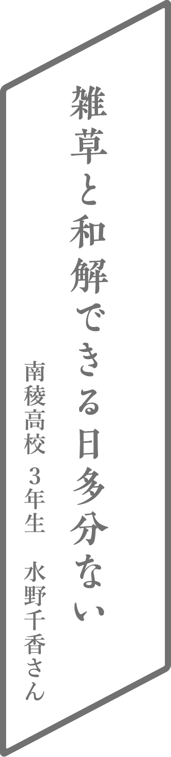 雑草と和解できる日多分ない