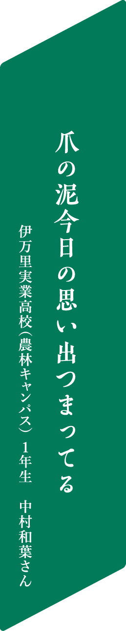 爪の泥今日の思い出つまってる